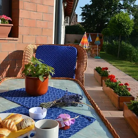 Hansag Vendeghaz Guest house *