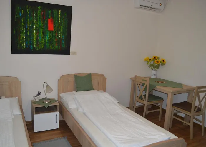 Hansag Vendeghaz Guest house Kapuvar